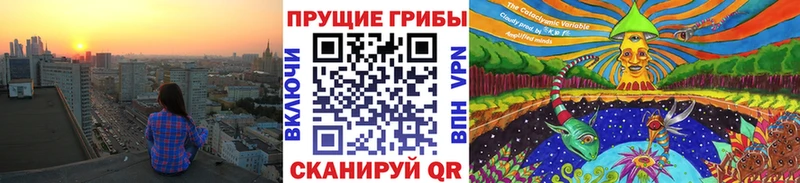 Псилоцибиновые грибы Cubensis  Уяр 